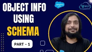 Object Info using Schema - I - Working with Data in Apex