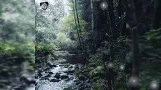 Ramirez & $uicideboy$ - Sarcophagus II (prod. Baker Phonk)