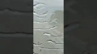 Raining Cats and Dogs