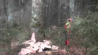 weiter holzfällen