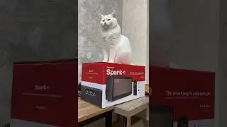 Что в посылке из Thomann?