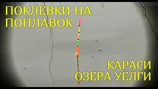 Поклевки карася на поплавок. Рыбалка на поплавок. Озеро Уелги