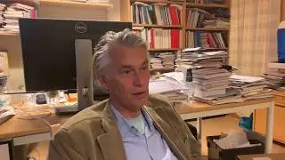 Dagens fråga: Kan interim management motverka funktionell dumhet?
