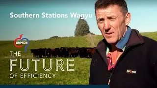 Southern Stations Wagyu