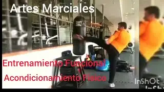 Entrenamiento Funcional y Acondicionamiento físico en Artes Marciales #wushumoderno #kungfu #TKD