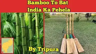 Tripura Made Country's first Bat and Wicket from Bamboo 😱 |Tripura Latest News