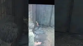 TLOU PART1 PS5 Чел от хука Джоэла пробил стену головой (баг)
