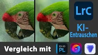 KI-Entrauschen mit Lightroom Classic || Wie schlägt es sich im Vergleich mit DxO - ON1 - Topaz ?