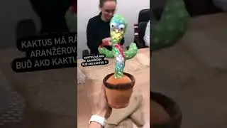 Si kreatívny  ako kaktus? Ak áno, pridaj sa k našim aranžérom.