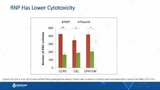 Effective gene editing using the CRISPR RNP system