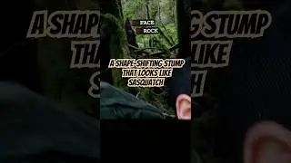 * Debunked * NOT a Bigfoot...