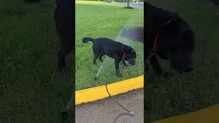 Lab Pit Stop