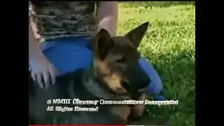 MMIII Discovery Communications Incorporated All Rights Reserved (Animal Cops Houston Ending)
