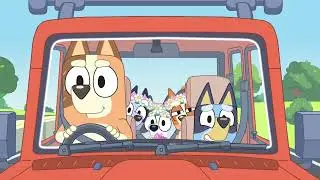 Bluey This Is Your Sign! Official Trailer | Disney+
