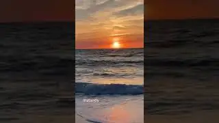 HEALING YOUR MIND