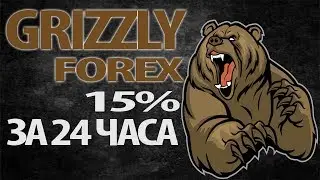 Grizzly Forex свежий фаст от опытного админа 15% за 24 часа