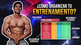 HOW TO ORGANIZE YOUR WORKOUT ROUTINE TO BUILD MUSCLE