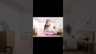 моё утро#мем