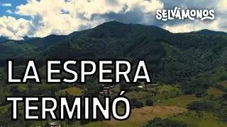 DESCONÉCTATE Y RESPIRA - SELVAMONOS 2022
