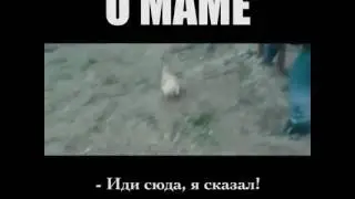 Любите мам она у тебя только одна