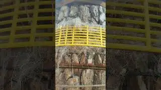 2 Колода с пчёлами в лесу спустя 3 дня после заселения 