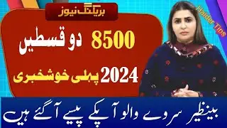 ehsaas progrm 2023 /8171 ehsaas program 2024 /benzir income support program