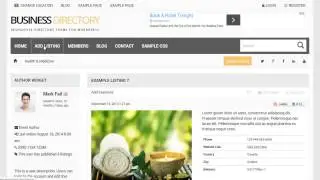 Business directory theme for WordPress