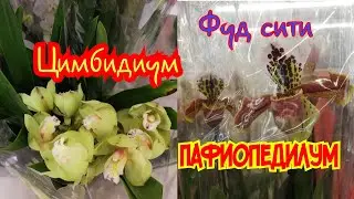 #фудсити