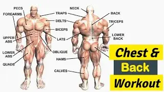 The Most Effective Chest & Back Workout (Antagonist Workouts)
