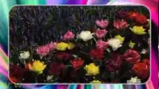 Мелодия весны!(М.Дунаевский