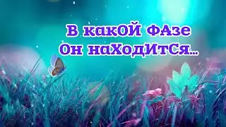 ✅В какОй ФАзе он наХодИтСя…✨115#ЭкзоПсихология#НейроПуть/Б.Т./🧩👇