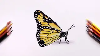 How to draw Monarch butterfly | PERFECT beginners drawing.