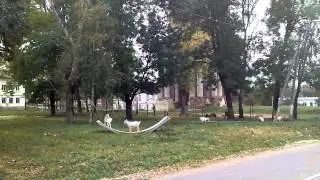 Люблю Венёв!