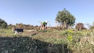 Купили дом в станице. Сентябрь — это еще лето.