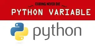 How to Learn Variable in Python