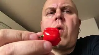 Sven from Herald is trying habanero pepper for the first time