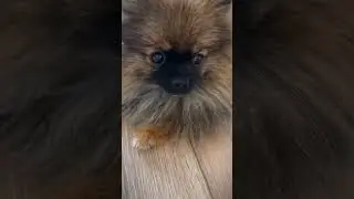Почему все это делают с ватным диском?!😁