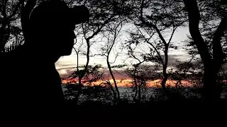 Solo Stealth Camping And Cooking In Hawaii