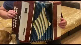 Одинокая ветка сирени! Собака Феликс подпевает)