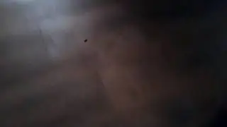 Самый смешной скример