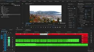Adobe Premiere Pro CC Complete A Video Editing Project 24