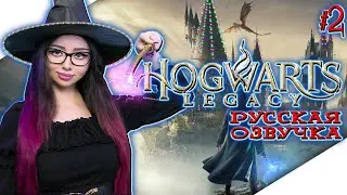 НОВОГОДНИЙ СТРИМ | HOGWARTS LEGACY Прохождение на Русском | ХОГВАРТС НАСЛЕДИЕ Прохождение #2