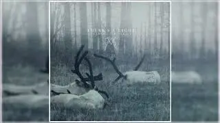 Theres A Light - A Long Lost Silence [Full Album]