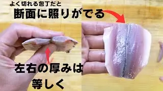 【コハダ】上手に腹開きするコツ・酢締めの仕方【捌き方】