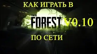 The Forest 0.10 ⇒ Как играть по сети через Hamachi [Пиратка + лицензия]