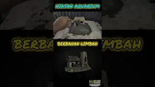 MEMBUAT DEKORASI HIASAN AQUARIUM DARI BARANG BEKAS #aquariumdecoration #ornamentalfish #hiasan