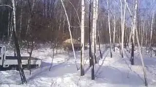 Заготовка дров Мтз-82 с груженной телегой