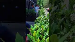 Чем нужно заниматься чтобы ездит на таком машине