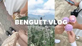 Benguet Vlog || flower farm, mini photoshoot, unwinding before college life 🌼🍂