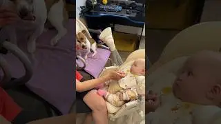 Прикорм для всех! Мама сама не съест, но всех накормит…
